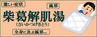 風邪や激しい発熱、インフルエンザにも!?柴葛解肌湯エキス細粒G「コタロー」